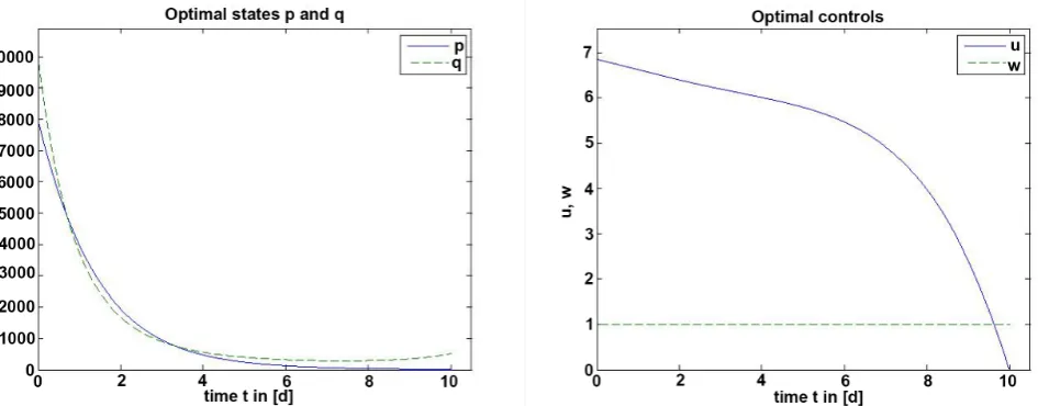 Figure 3. Optimal solution obtained by the IPOPT-AMPL and SQH schemes for the second experimental setting