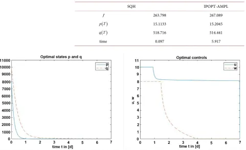 Table 4. Comparison of results with the SQH and the IPOPT-AMPL schemes for the second experimental setting