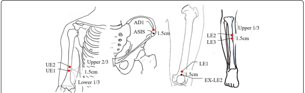 Fig. 3 Points used for Sham Acupuncture (SA). UE, upper extremity, AD, abdomen; ASIS, anterior-superior iliac spine; LE, lower extremity; EX-LE2, he ding