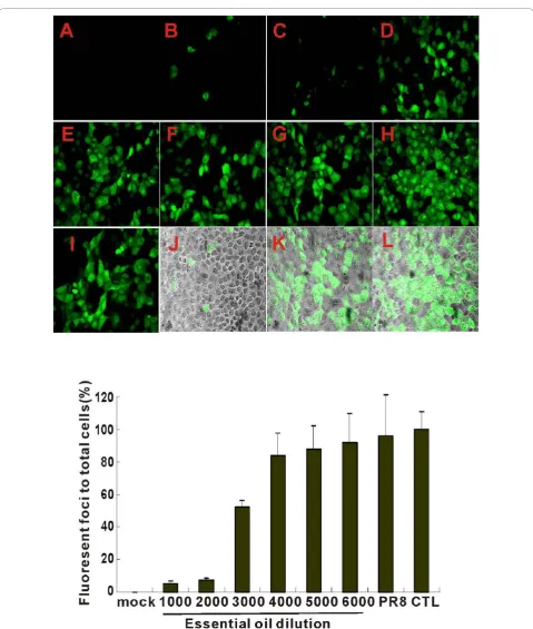 Figure 2 Effect of essential oil on the first cycle of PR8 infection as determined by FFAbut stained with anti-NP antibody