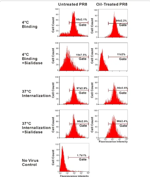 Figure 3 Essential oil dose not block IAV PR8 binding and entry to MDCK cells as determined by flow cytometry