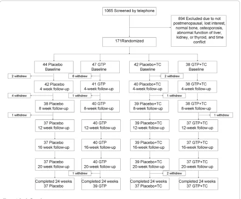 Figure 1 Study flow chart.