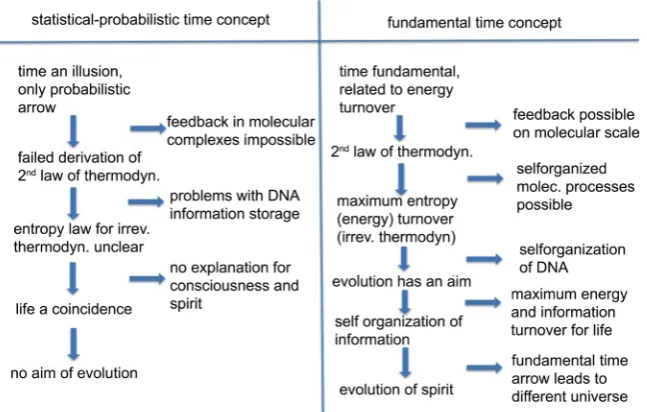 Figure 3. Scheme comparing implications of statistical, probabilistic time (left) and of fundamental (energy driven) time arrow (right)