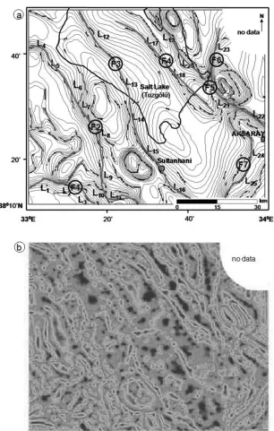 Fig. 11. (a) Edge map obtained by the proposed edge operators. (b) NSTD map of the gravity-data set in Fig