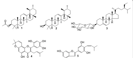 Figure 1 Chemical structures of compounds isolated from theaartonin E;bark of Artocarpus communis