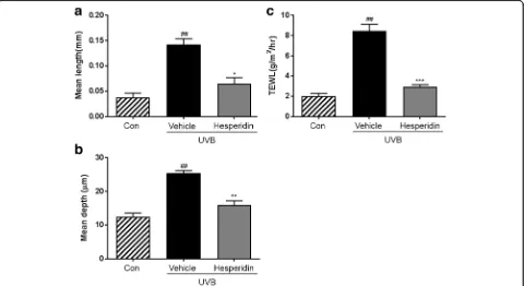 Fig. 2 Effects of hesperidin on the UVB-induced wrinkle formation in hairless mice and TEWL