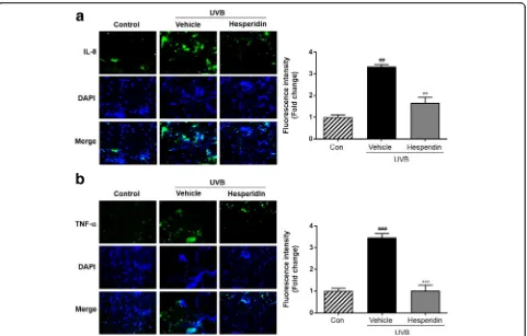 Fig. 5 Images of immunohistochemically-stained skin tissue. Immunofluorescence study was carried out using (significant difference from control and **Blue staining represents nucleus