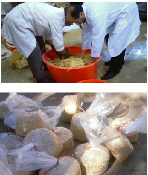 Figure 2. Cereal Straw Urea Treatment Machine (CSUTM) 