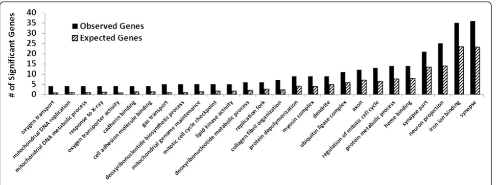 Figure 2 Statistically significant enrichment (p < 0.05) of Gene Ontology categories within the significant (p < 0.05) genes with a>1.5-fold change in the FS-fed group.