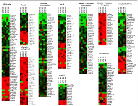 Figure 3 Pulmonary Gene Expression profiling of genes with >1.5-fold change in individual flax-fed mice as compared to mean ofcontrol, red indicates up-regulation, green down-regulation