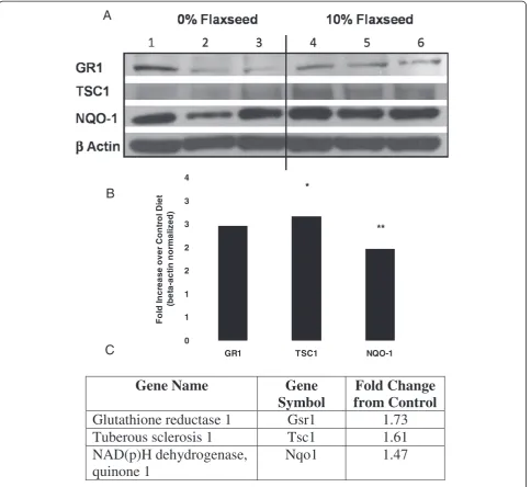 Figure 5 Confirmation of select microarray data by western blot analysis. (A) Western blot analysis of upregulated genes GR1, TSC1, NQO-1and beta actin loading control in lungs from control diet and FS-fed mice (3 weeks on diet); (B) Densitometric presenta