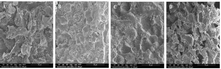 Figure 3. SEM images of the various particle sizes of the ground walnut shell. (A) Original; (B) >45 mesh; (C) 45 - 100 mesh; (D) <100 mesh