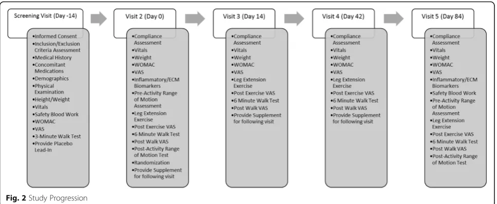 Fig. 2 Study Progression