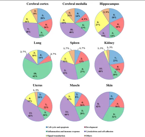 Fig. 3 Process network categories affected by EA stimulation at ST36 acupoint in various organs