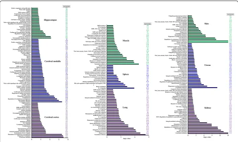 Fig. 4 List of process networks regulated by EA stimulation at ST36 acupoint in various organs