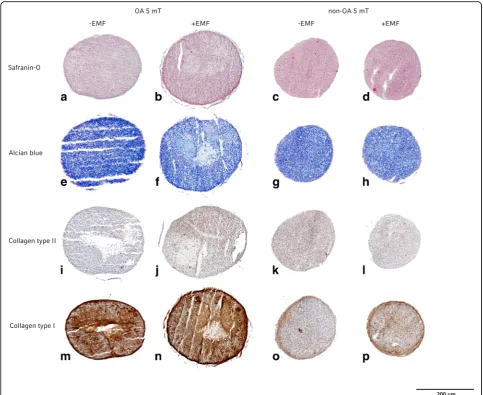 Table 1 Visual histological grading system
