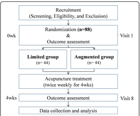 Fig. 1 Flow chart of the study