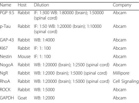 Table 1 The antibodies used in the experiment