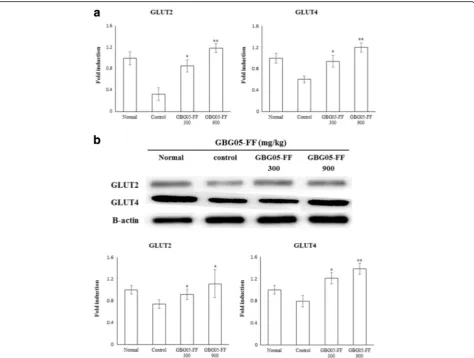 Fig. 5 Effects of GBG05-FF on the gene expression and the protein expression of GLUT2 in liver (GBG05-FF 900 mg/kg