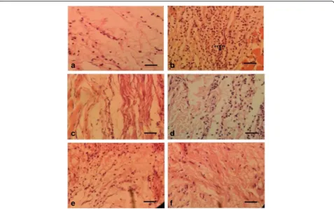 Table 3 Effect of P. niruri leaves extract on various parametersin ethanol induced gastric ulcer