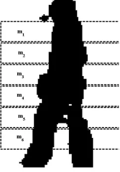Figure 2. Human gait cycle. 