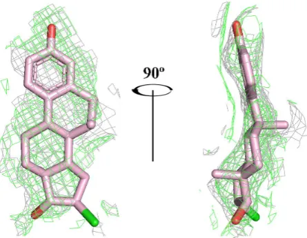 Figure 3. draw in green and contoured at 1.5σ. The occupancy of the inhibitor was refined to 1