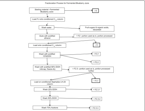 Fig. 1 Fractionation Process for Fermented Blueberry Juice