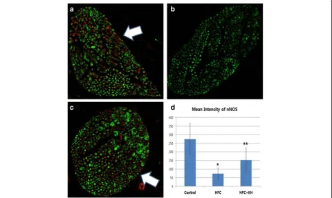 Fig. 3 Phosphorylated-endothelial nitric oxide synthase (eNOS) protein expression in corpora tissue.in corporal tissue.control and high fat and high cholesterol diet (HFC) groups