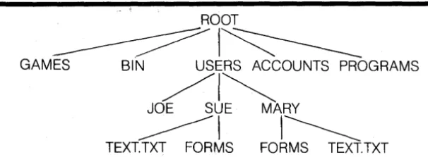 Figure 3-3: A sample hierarchical directory structure 
