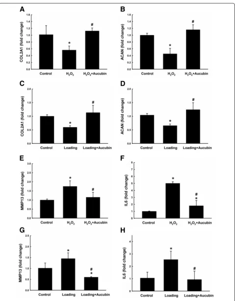 Fig. 6 (See legend on next page.)