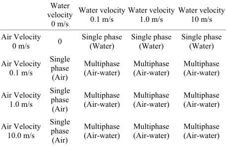 Table 1. Air-water velocities used in CFD analysis. 
