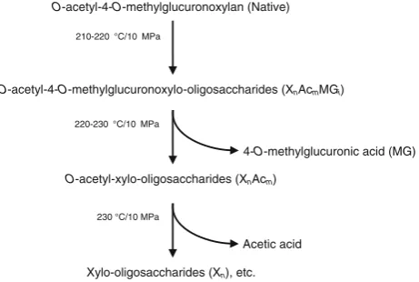 Fig. 5Hydrolysis pathway of native O-acetyl-4-O-methylglucuron-oxylan as treated by hot-compressed water
