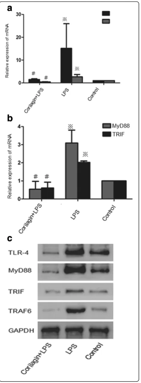 Fig. 5 Effect of Corilagin on expression of IL-1β, IL-6 in mouseserum. Effect of Corilagin on expression of IL-1β, IL-6 in mouseserum