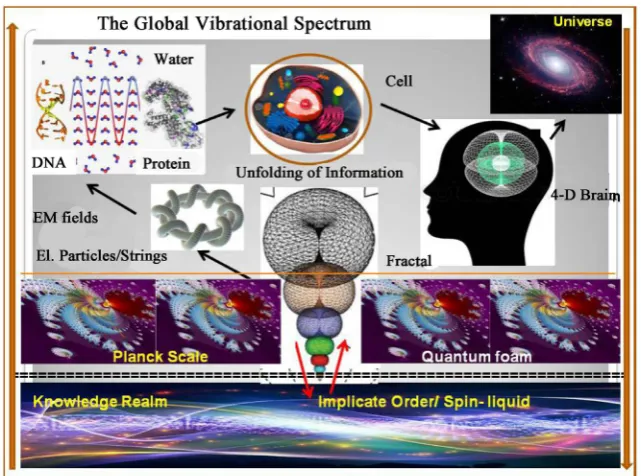 Figure 7. Morphogenesis of reality, seen as a fractal process of information unfolding, either (bottom up) from an implicate order frequency domain (below) up to the Planck scale, producing elementary particles, atoms, life molecules for the build-up of wh