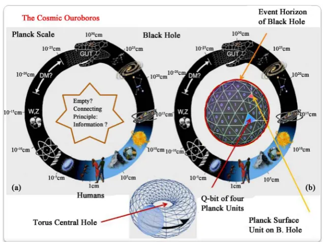 Figure 8. The Cosmic Ouroboros (a) The hollow ring structure formed by the snake can is instrumental in global communication within and recreation of the universe.mos at the right inset thereby contains a scale invariant information processing unit that be