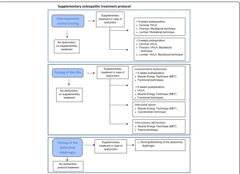 Fig. 2 Study content for the schedule of enrolment, interventions, and assessments. -t2: preoperative, -t1: 9th postoperative day, t0: start ofcardiac rehabilitation programme (3 weeks postoperative), t1: 4 weeks postoperative, t2: 5 weeks postoperative, t