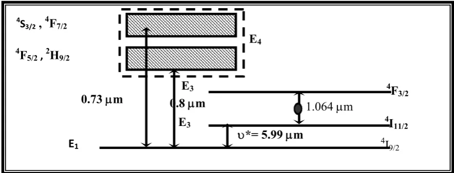 Figure 1. Nd-YAG laser sketch illustration