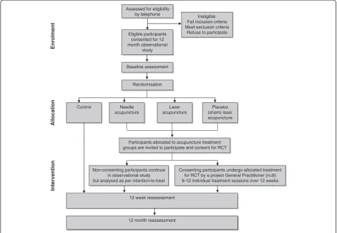 Figure 1 Flow diagram of study protocol.