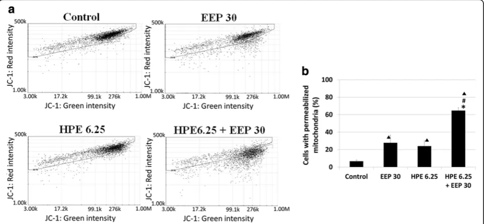 Fig. 3 [3H]- thymidine incorporation into U87MG cells after treatment with EEP, HPE and EEP with HPE