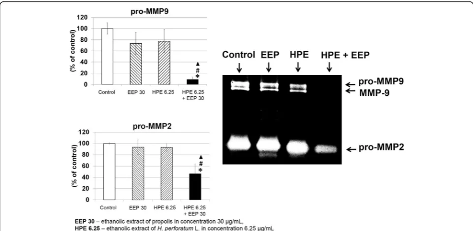 Fig. 6 The effects of EEP (6.25 μg/mL), HPE (30 μg/mL) and combination of EEP (30 μg/mL) with HPE (6.25 μg/mL) on U87MG cells migrationafter 0, 12, 48 h of incubation
