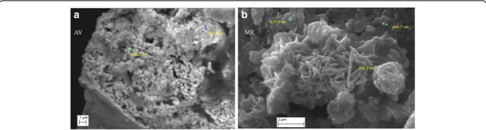 Fig. 6 SEM images of (a) AV drug rich in rounded shaped aggregates of nano-size particles and randomly distributed elongated grains of minerals(b) MR drug consisting of aggregates of acicular, triangular, rounded and irregular shaped nano-size particles rich in metal sulfides