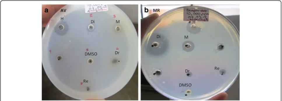 Fig. 1 Well diffusion assay against S. aureus of (a) AV drug, residue and three extracts (b) MR drug, residue and three extracts (at 10,000 ppmconcentration) H - hexane, Di - dichloromethane, M- methanol, Dr- Drug, Re- inorganic residue of the drug, DMSO- negative control