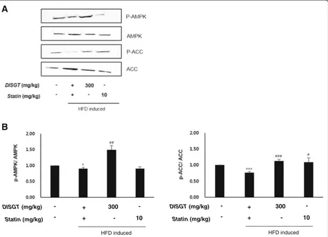 Fig. 5 Effect of DISGT on adenosine monophosphate-activated protein kinase (AMPK) signaling pathway components