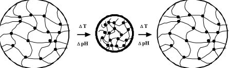 Figure 2. Swollen temperature- and pH-sensitive hydrogels may exhibit an abrupt change from the expanded (left) to 