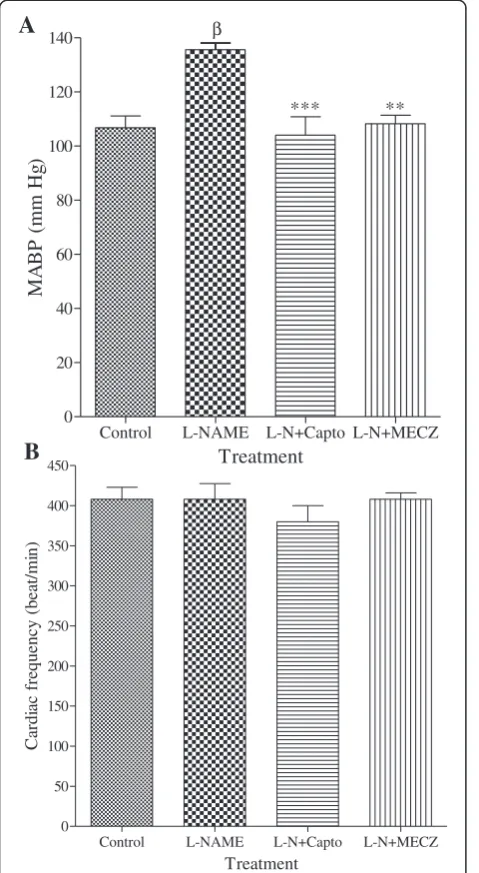 Figure 6. In rats treated only with L-NAME, both aortic