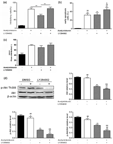 Figure 6. Effects of Acetylshikonin on inhibition of the PI3K/Akt/mTOR signaling pathway in HT29 cells