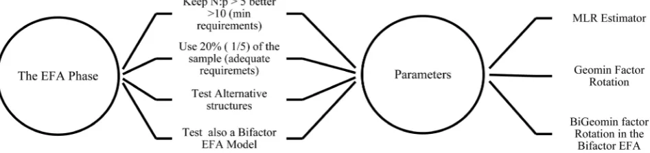 Figure 4. Description of the EFA Phase of the 3-faced construct validation method. 