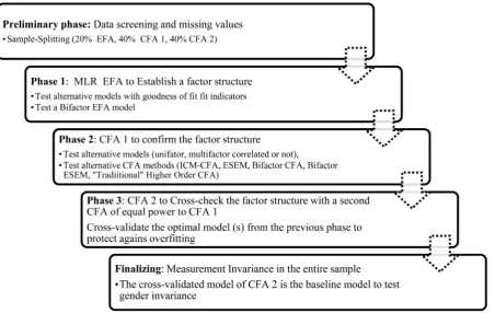 Figure 1. Description of the basic phases of the 3-faced construct validation method. 