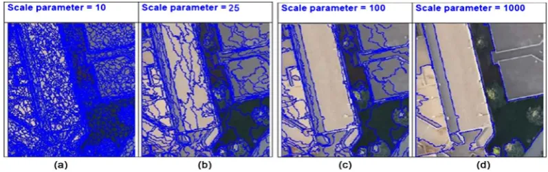 Figure 8. Multi-resolution segmentation results with the scale parameters 10 (a), 25 (b), 100 (c) and 1000 (d) using Orthomosaic images
