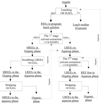 Figure 11. Proposed flowchart for the extraction of LREEs and HREEs from the pregnant leach solution after apatite leaching in H2SO4
